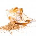 Glistening Mineral Bronzer